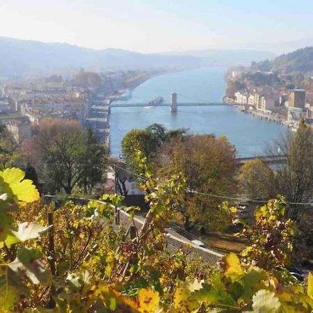 Appartement Vignes Vienne Nord Zewnętrze zdjęcie